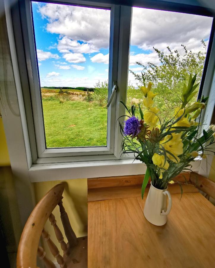 Bluebell Off-Grid Van Newton Stewart Bagian luar foto