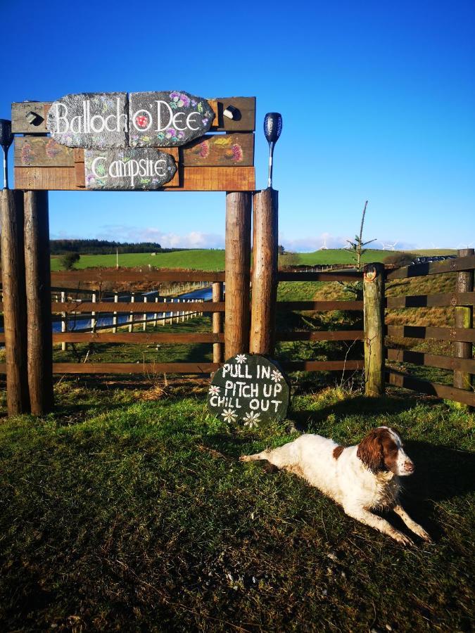 Bluebell Off-Grid Van Newton Stewart Bagian luar foto